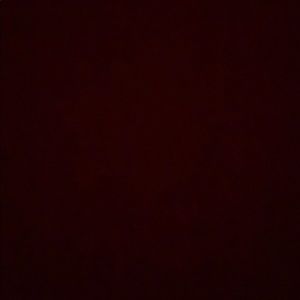 Meet your Posher, Jazlyn